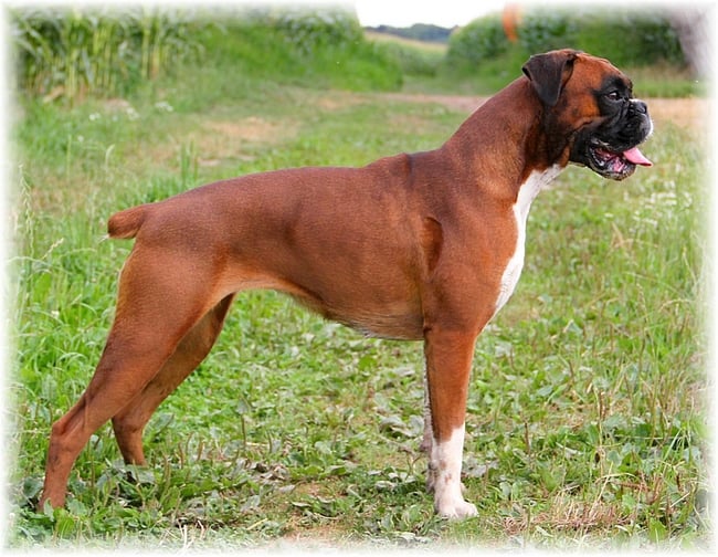 Publication : de la demeure andardaise Auteur : Mérien Laura