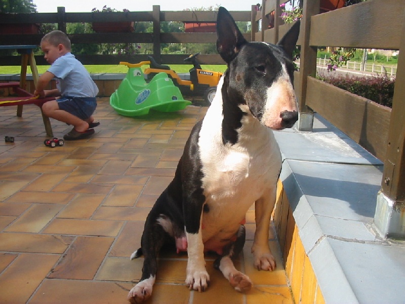 Auteur : Céline Da Silva