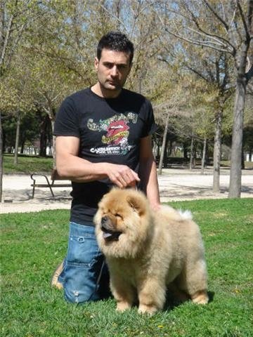 Publication : Orishas Chows 