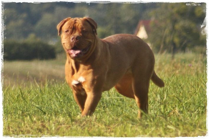 Easy des Berges De La Sarre