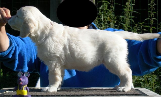 Brava vuelta du Domaine de la Vallée de l'Andelle