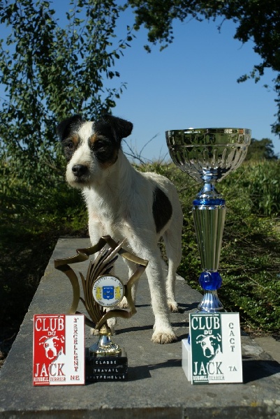 CH. Dewberry Fancy free