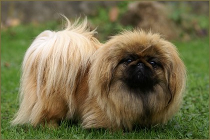 Publication : de l'empire des trois lacs 