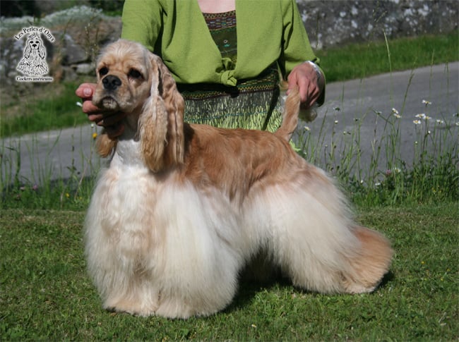 Publication : des Perles d'Onyx Auteur : Frédéric Genevey