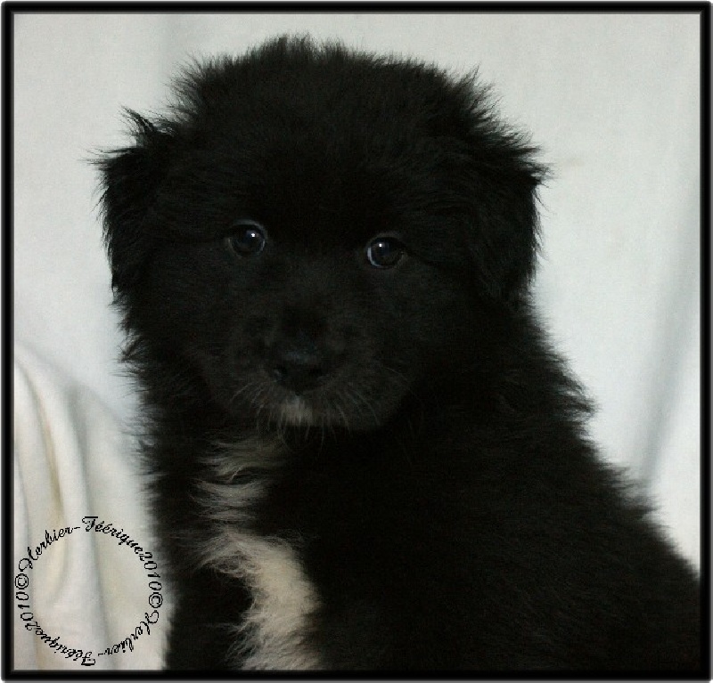 Publication : (Sans Affixe) Auteur : GALLEE Karine