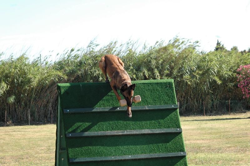 Publication : Natif du Must