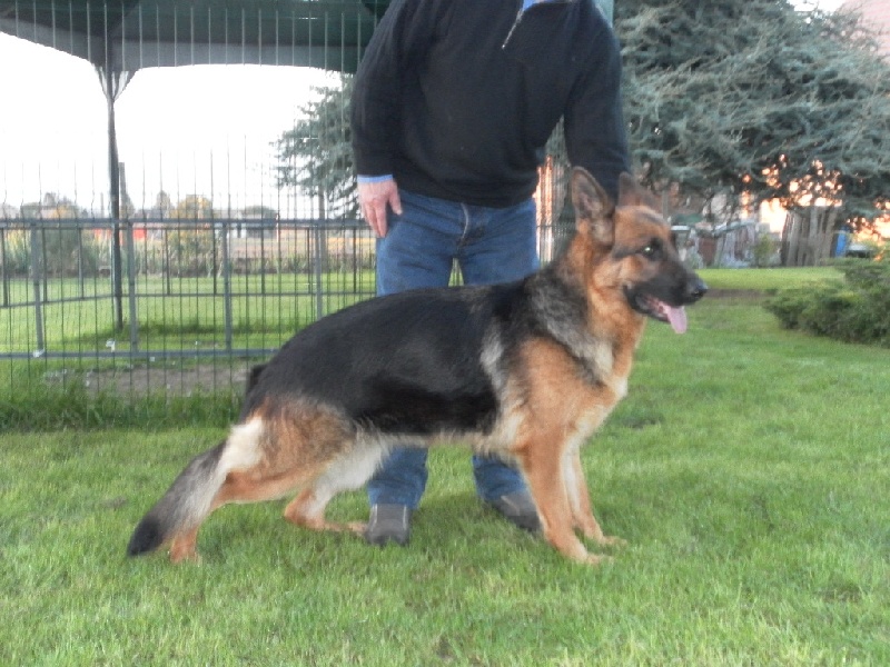 Publication : des Balcons de Louqsor Auteur : LEPINE PIERRE