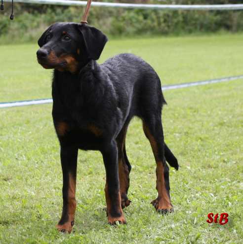 Publication : Von Der Happy Horse Farm 