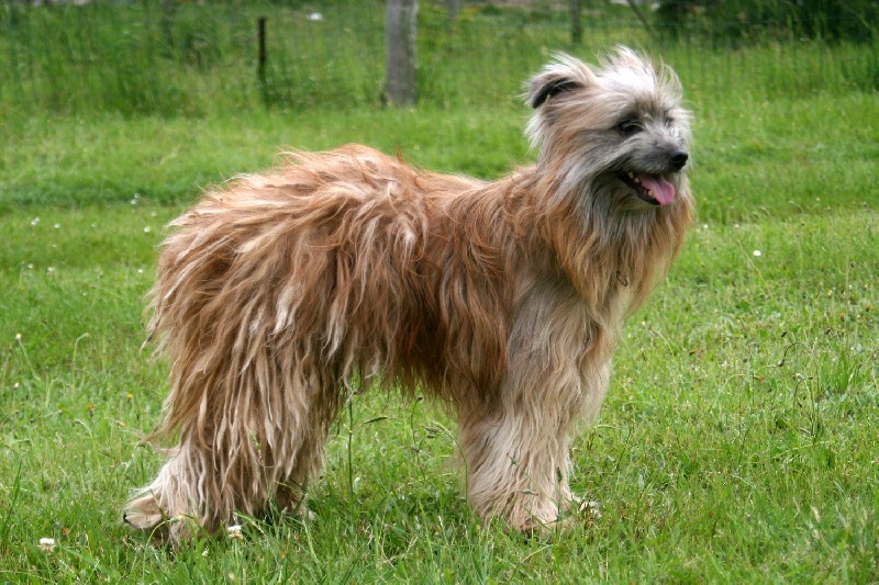 Publication : De La Devette Pastourelle Auteur : Val Narcy