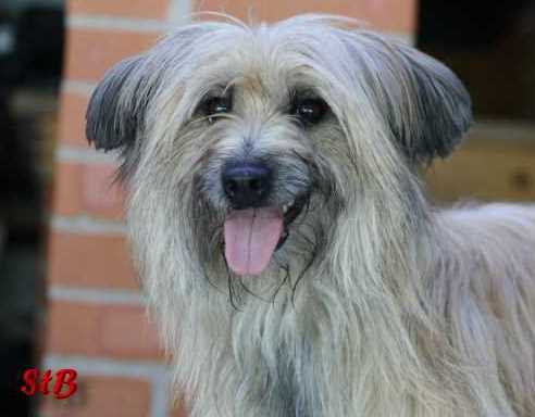 Publication : Von Der Happy Horse Farm