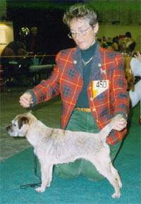 Publication : Aiga Viva 