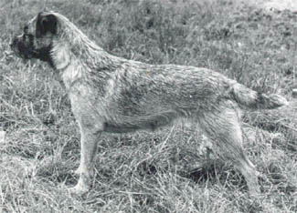 CH. Dana (Sans Affixe)