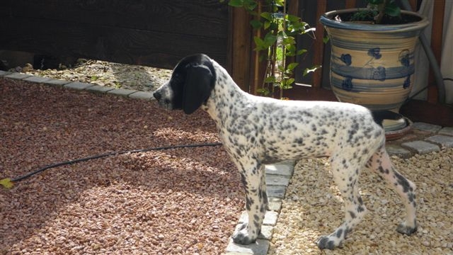 Publication : Des étangs De La Ravanne Auteur : Eve FRETEAUD