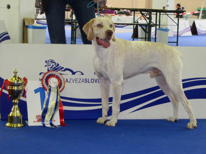 Publication : de la Croix d'Angouleme