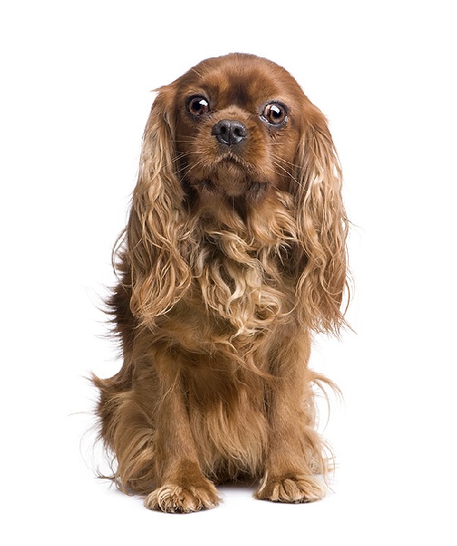 Publication : De La Forge 