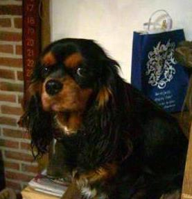 Publication : De La Forge 