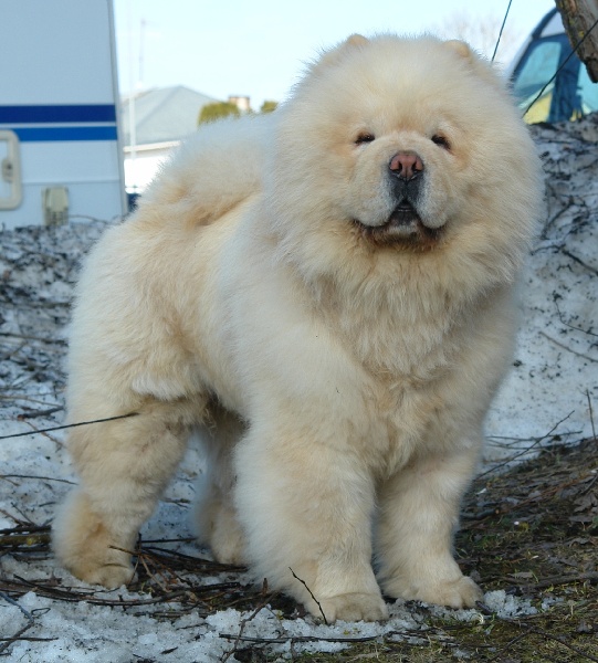 Publication : fearless heart 