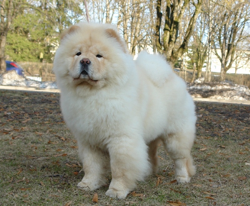 Publication : fearless heart