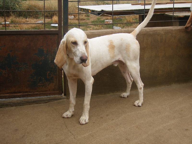 Dalton du haut de la balladine