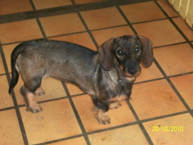 Publication : de la goutte du Chaity 