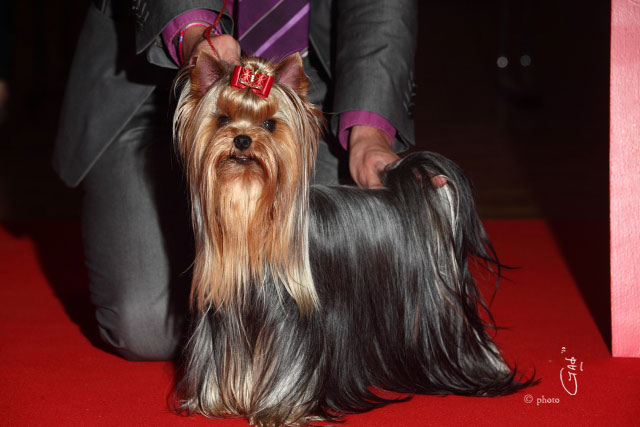 CH. Daum de Brunehault