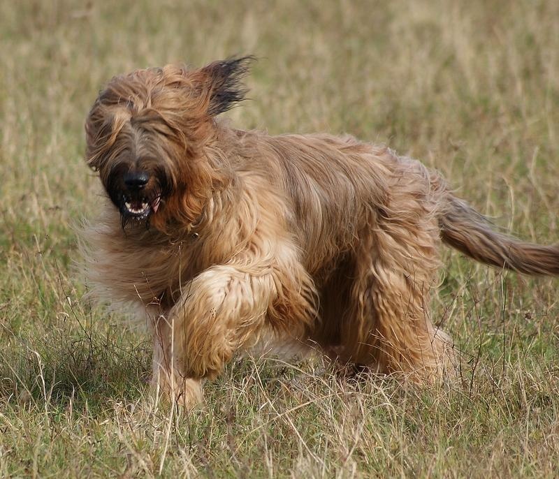 Publication : du Claire Noir Auteur : Klara Kelemen