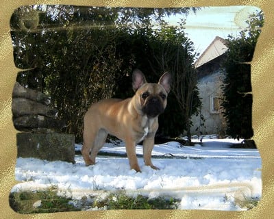 Emmroad unick des p'tits bout boul