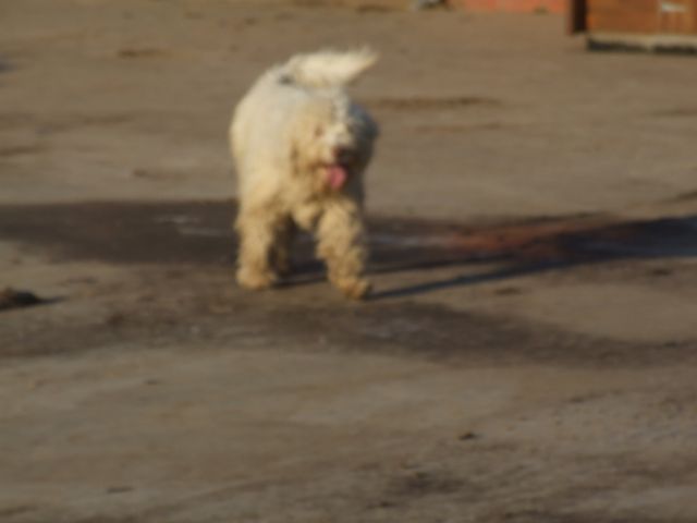 Publication : (Sans Affixe) 