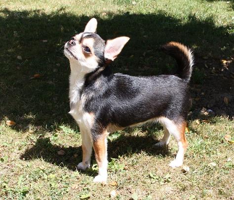 Emy de la vallee des petits bouts