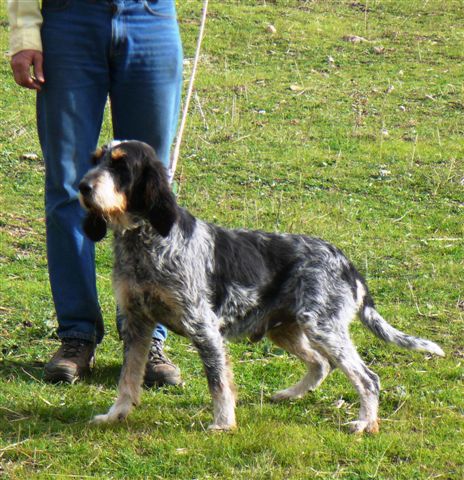 Publication : De la fontegude 