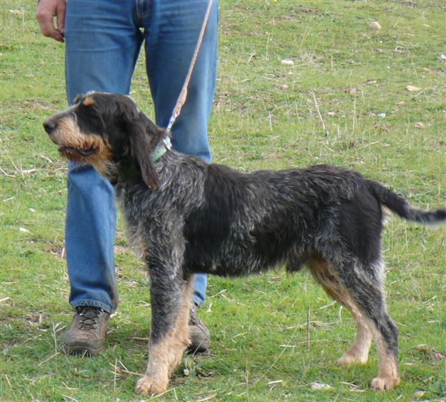 Publication : De la fontegude