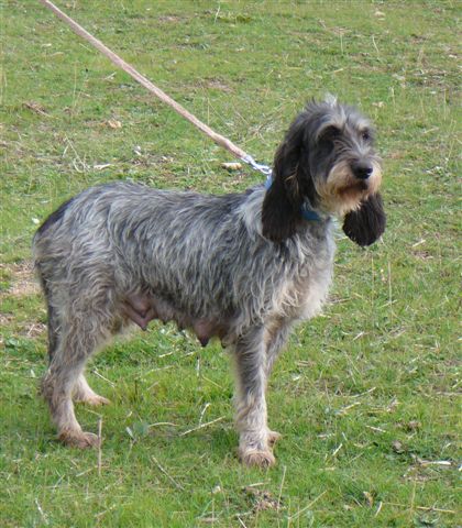 Publication : De la fontegude 