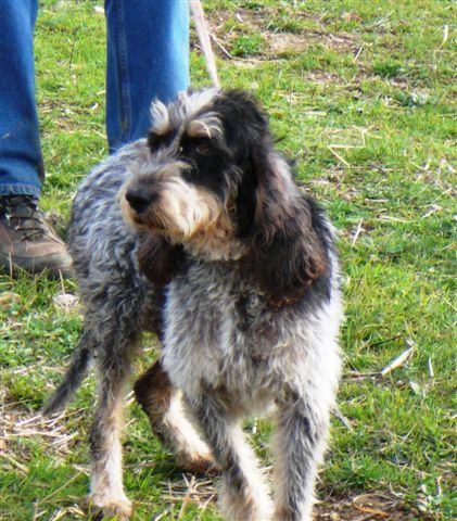 Publication : De la fontegude 