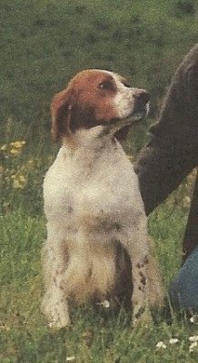 Full Du rama sauvage