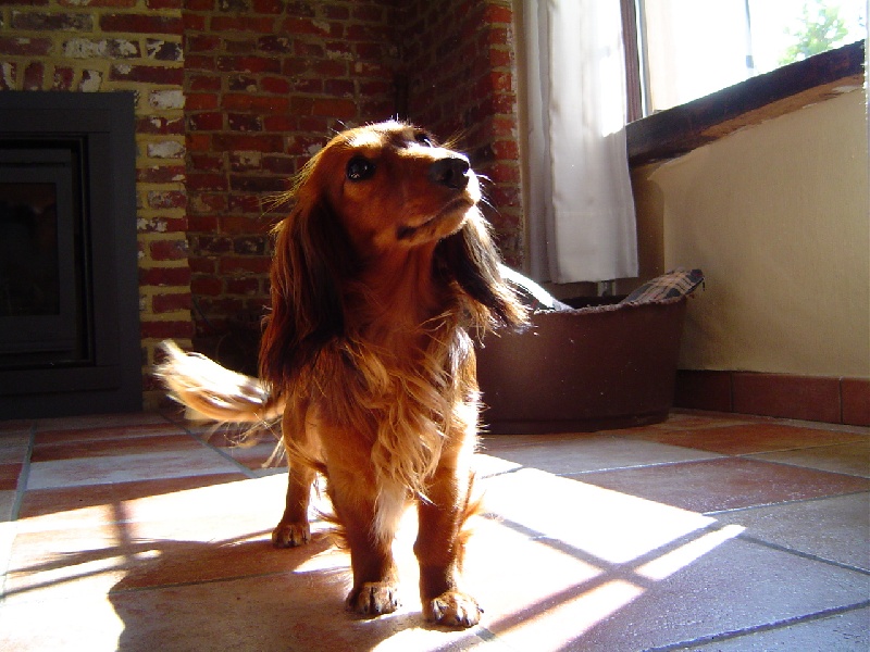 Publication : Von Lahtnetol Auteur : Naassens - Wullaert