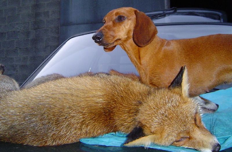 Publication : Von Lahtnetol Auteur : Naassens - Wullaert