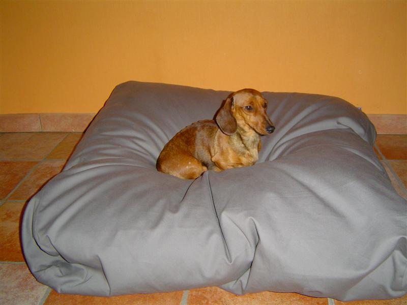 Fricadelle geen kennelnaam