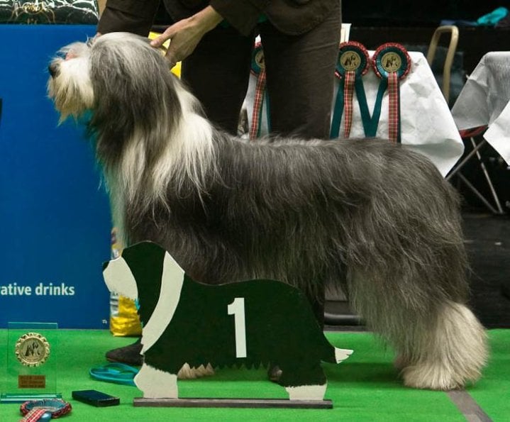 Publication : rosewood pearl's Auteur : Rosewood Pearl's