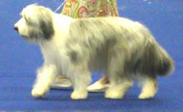 Publication : rosewood pearl's Auteur : Rosewood Pearl's