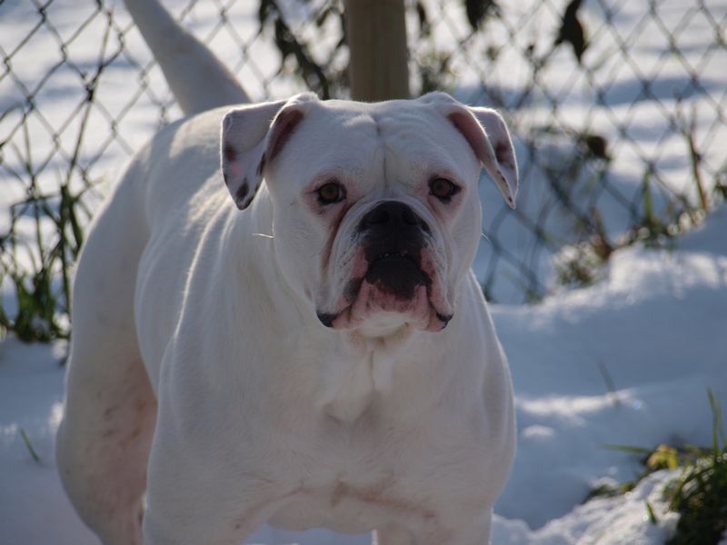 Elkuna aka kouma (Sans Affixe)