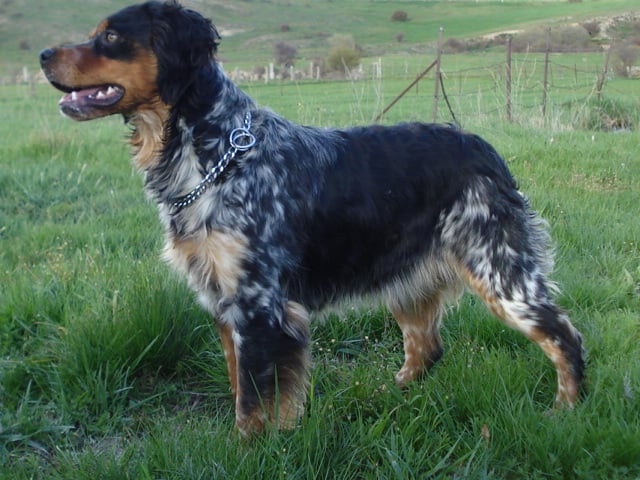 Publication : Ribera Del Adaja 