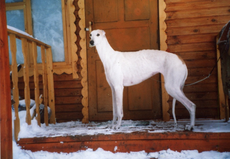 Publication : tatanka vitka 