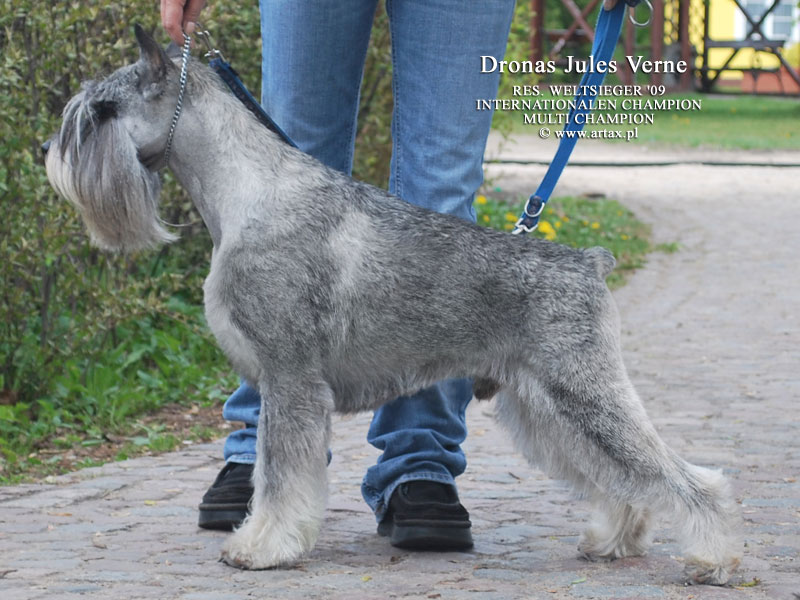 Publication : artax's angels Auteur : A.Wasiak