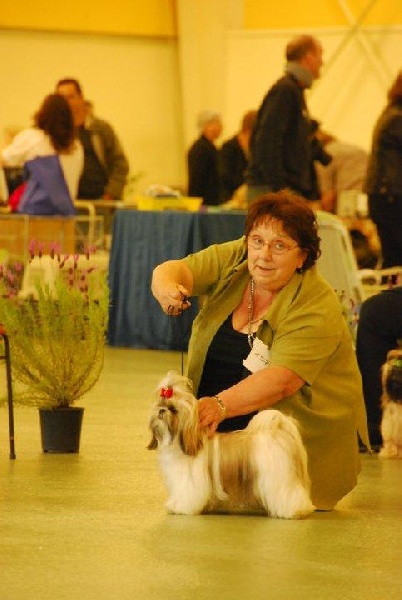 Noriel Don't worry be happy