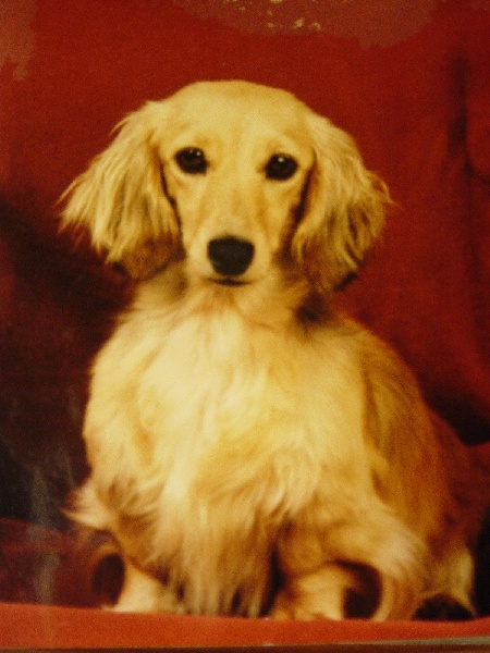 Publication : de Pinella