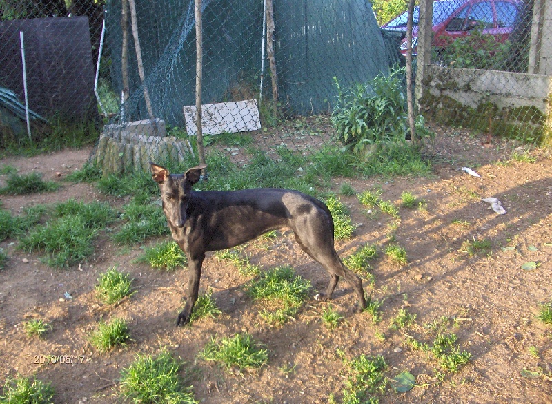  Auteur : SEVEON Margarette