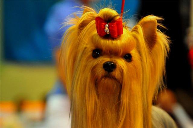 Publication : Mardel's