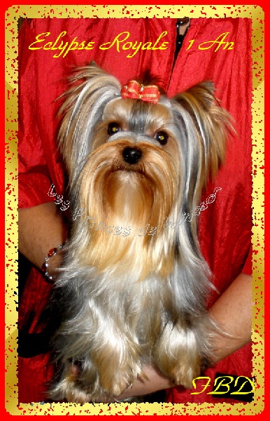 Eclipse royale du clos de faurilles