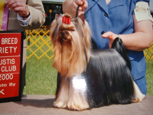 CH. Parkside's In a Heartbeat