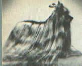 Publication : Vannjty Auteur : inconnu